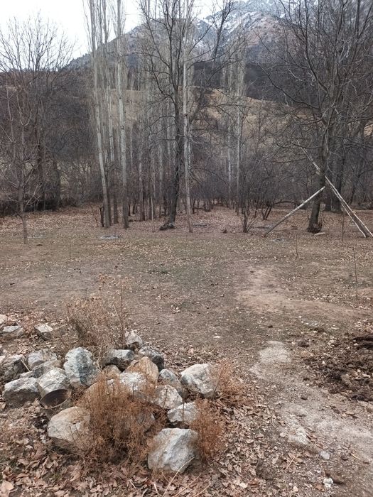 Здравствуйте дорогие друзья я вам обейвляю у меня есть земля каторие в