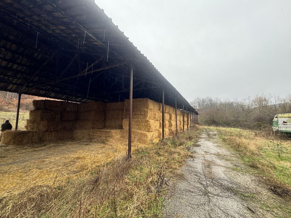 Бали  слама 500 кг