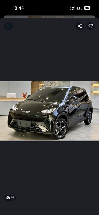 Seagul sotiladi 15000