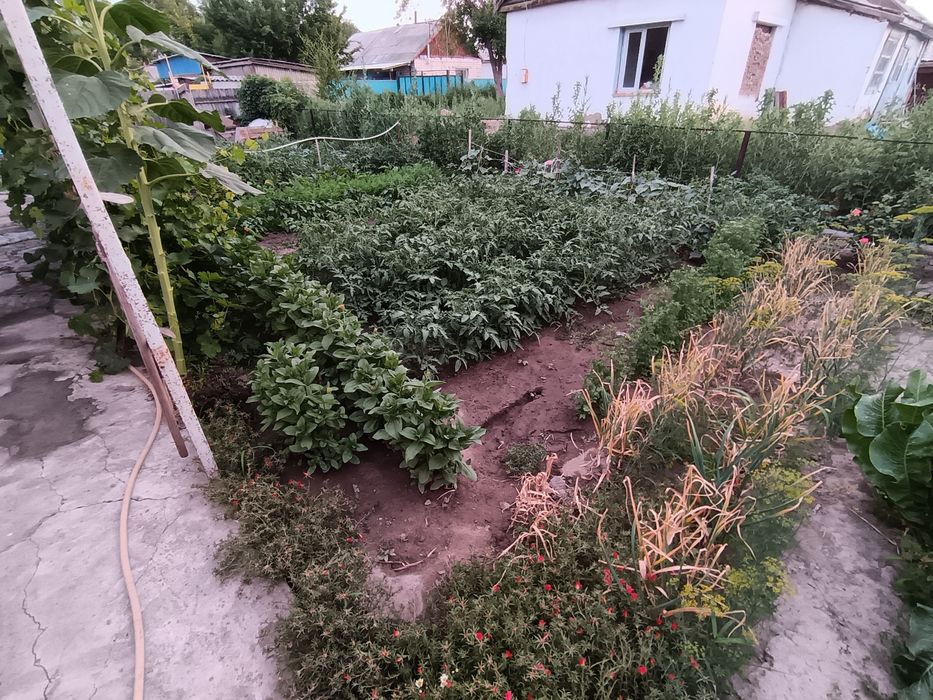 Үй сатылады. Келіп көріңіздер.