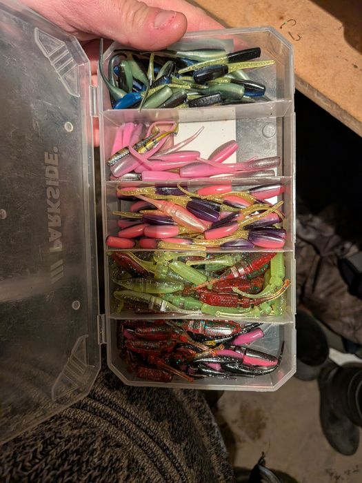 Gume silicon păstrăv