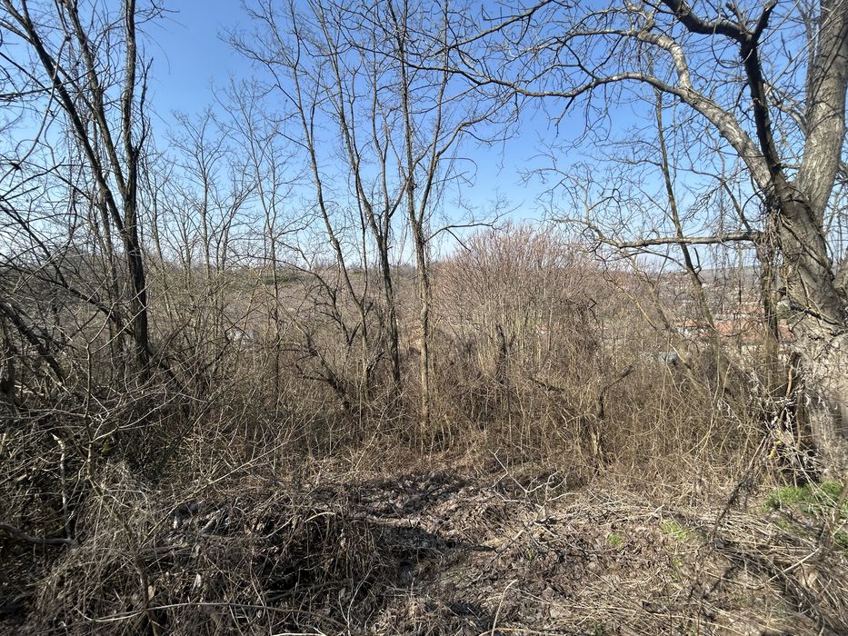 Продава се Парцел в с. Калипетрово, Област Силистра - 4680 кв.м за 1 €/кв.м - Снимка #6