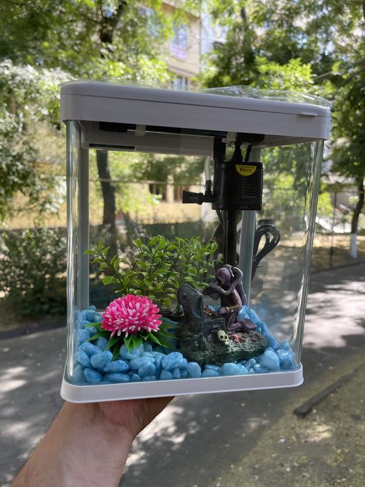Akvarium Xitoy Mini