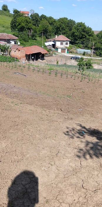 Продава се Парцел в с. Ситово, Област Силистра - 2300 кв.м за 6 €/кв.м - Снимка #5