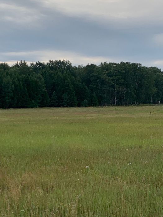 Участок в Боровом 10сот