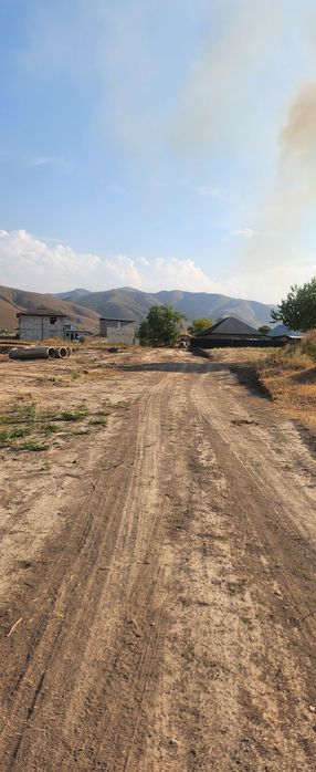 Долан лпх рассрочка