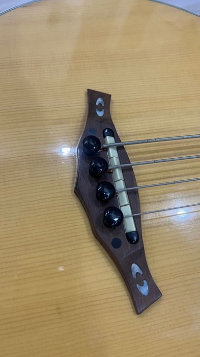 Акустическая бас гитара Hohner EAB65 безладовая