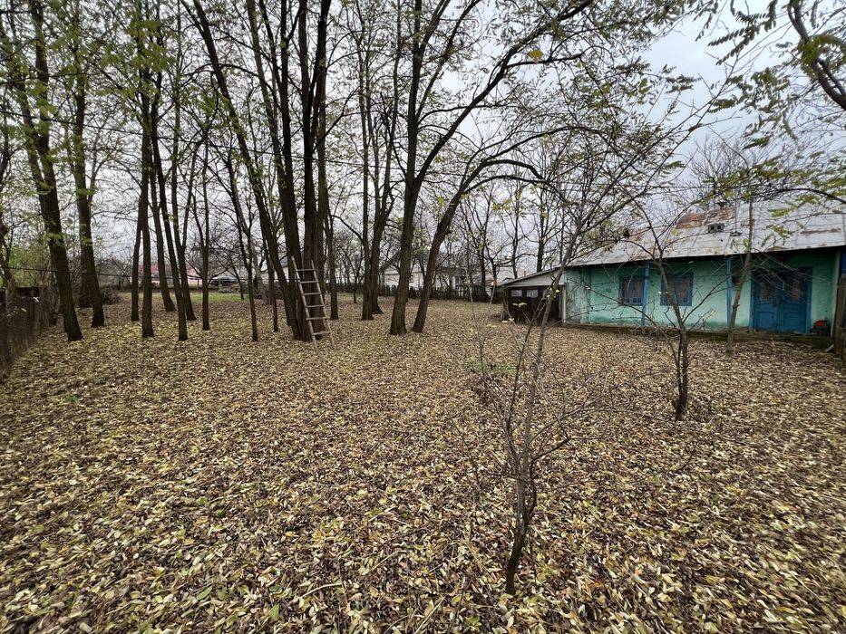 Vanzare teren intravilan 1270 MP in Sarata - Mihalaseni