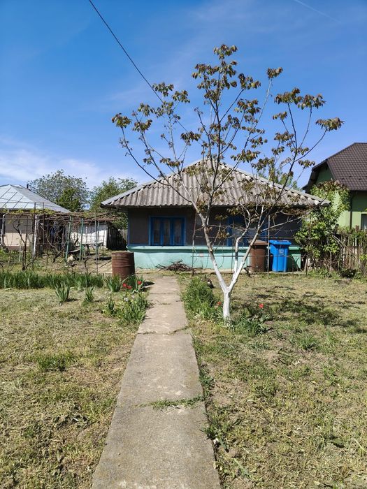 Teren și casă bătrânească