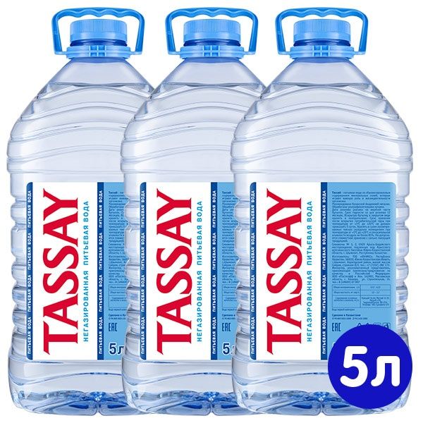 Баклажки Тассай 5 лит