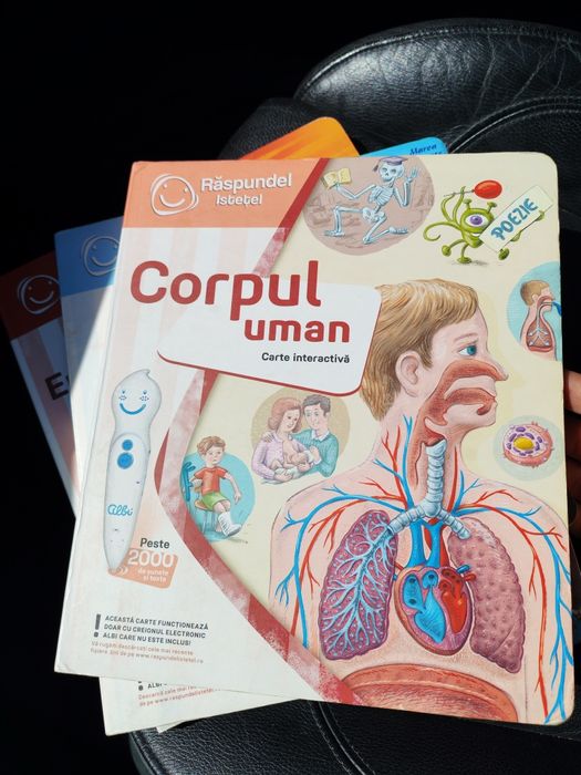 Raspundel istetel - corpul uman