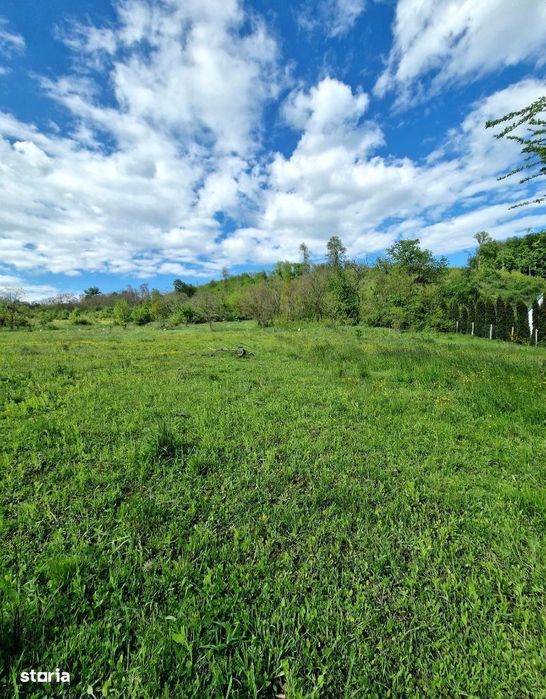 Teren de vanzare zona Schullewald