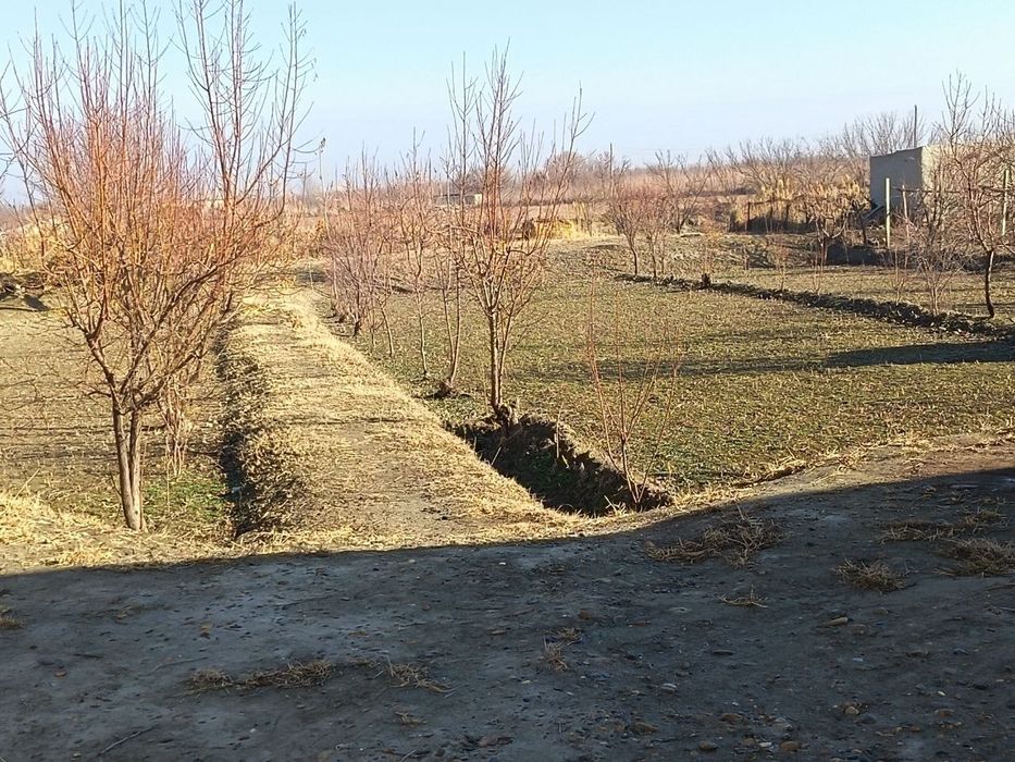 Участок 17 соток