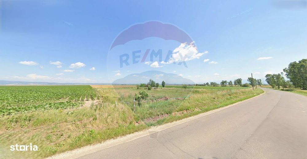 Teren extravilan 2 parcele de 9.750 mp - Satul Nou, comuna Hălchiu
