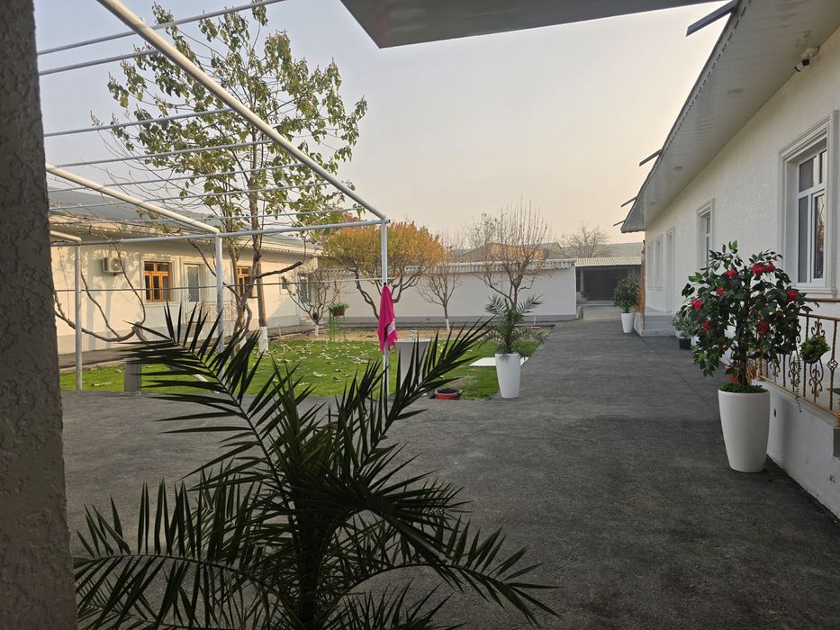 arzon HOSTEL 70 ming