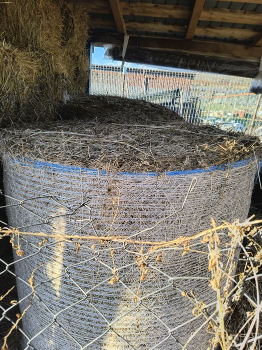 Vand baloți  de lucernă și fan