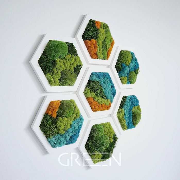 Фито стены . мох . Стабилизированные растения