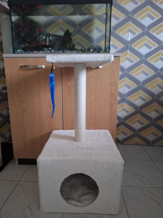 Котешка драскалка