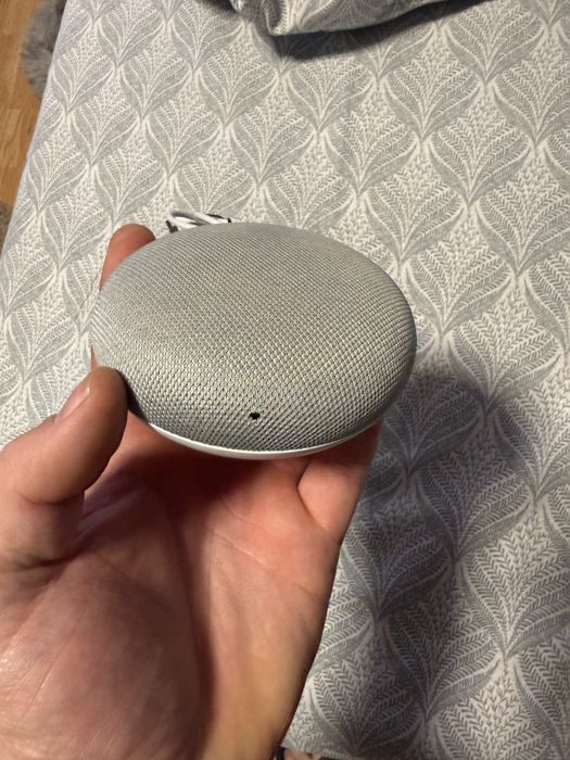 Google home ,fara cutie