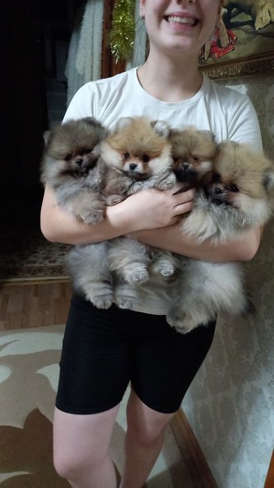 Очень красивые малыши