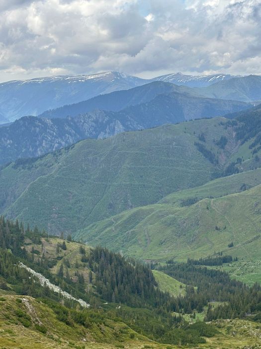 De inchiriat 101 HA  pasune alpina  cu  sursa de apa potabila