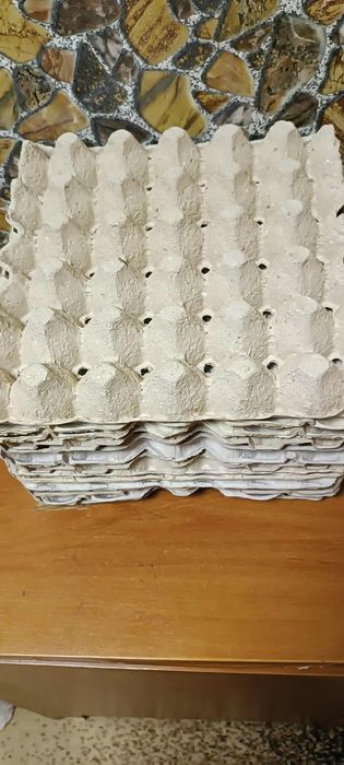 Кори за яйца използвани