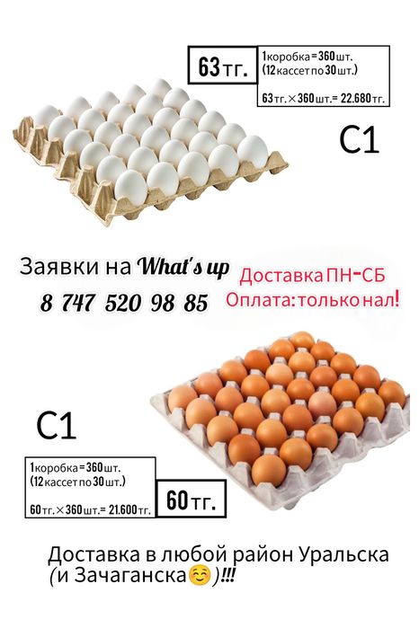 Куриное яйцо C1 оптом