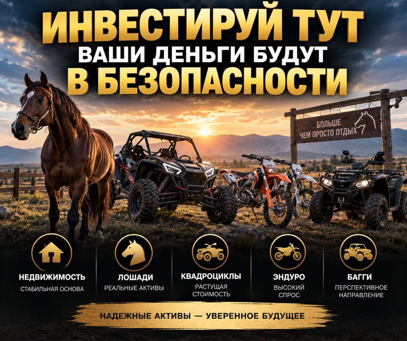 Инвестиции дейсвующий бизнес (инвестор) для расшерения