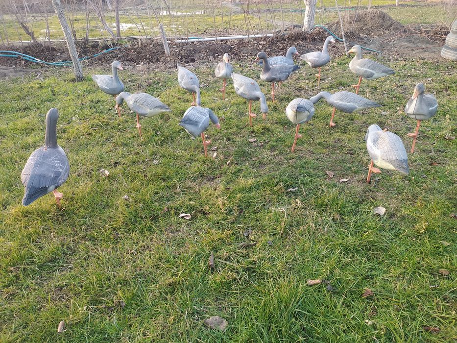 Для охотников - подсадные гуси - макеты. 15 штук. Новые .