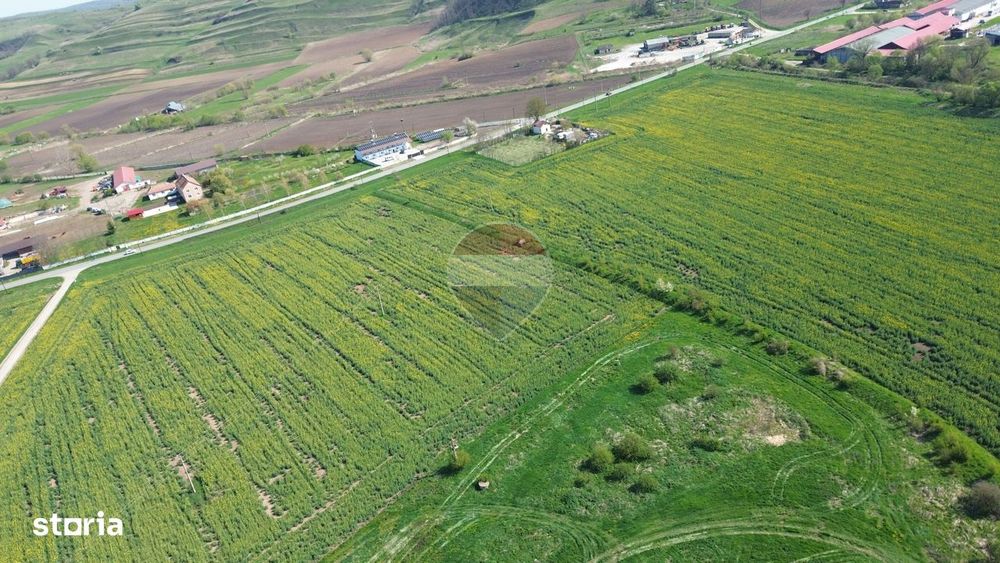 Teren de vanzare sau inchiriat 19ha intravilan, Agnita,Sibiu
