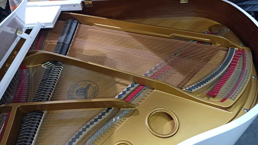 Vand pian Euterpe by C. Bechstein (ca nou)