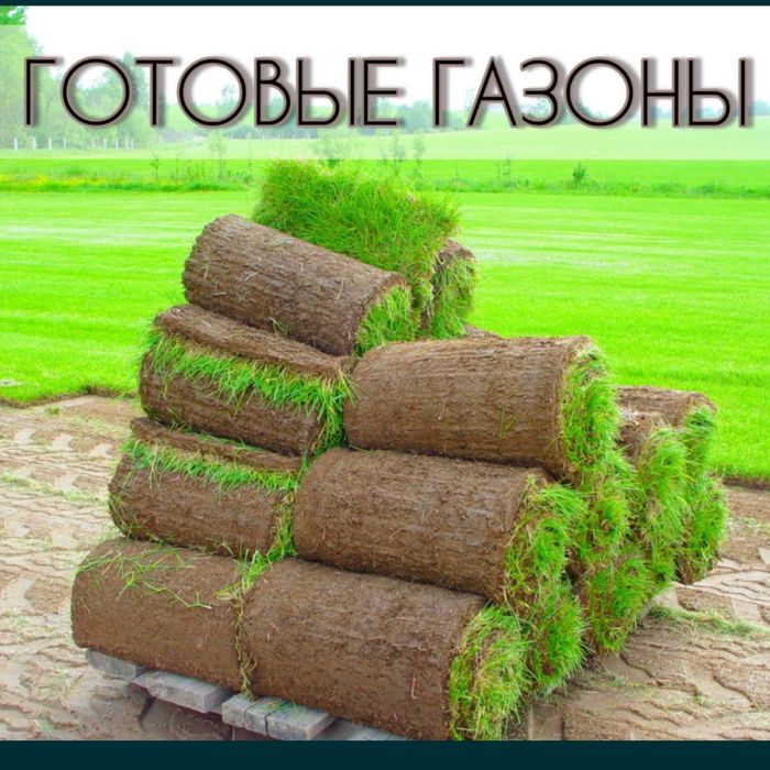 Газон прямо с плантации + доставка + установка