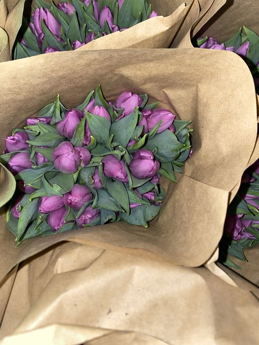 Оптом Астана самый крупный в астане