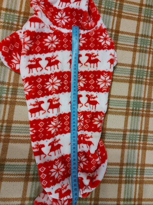 Одежда для собак.