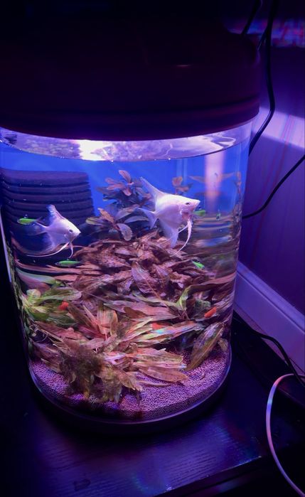 Аквариум комплект