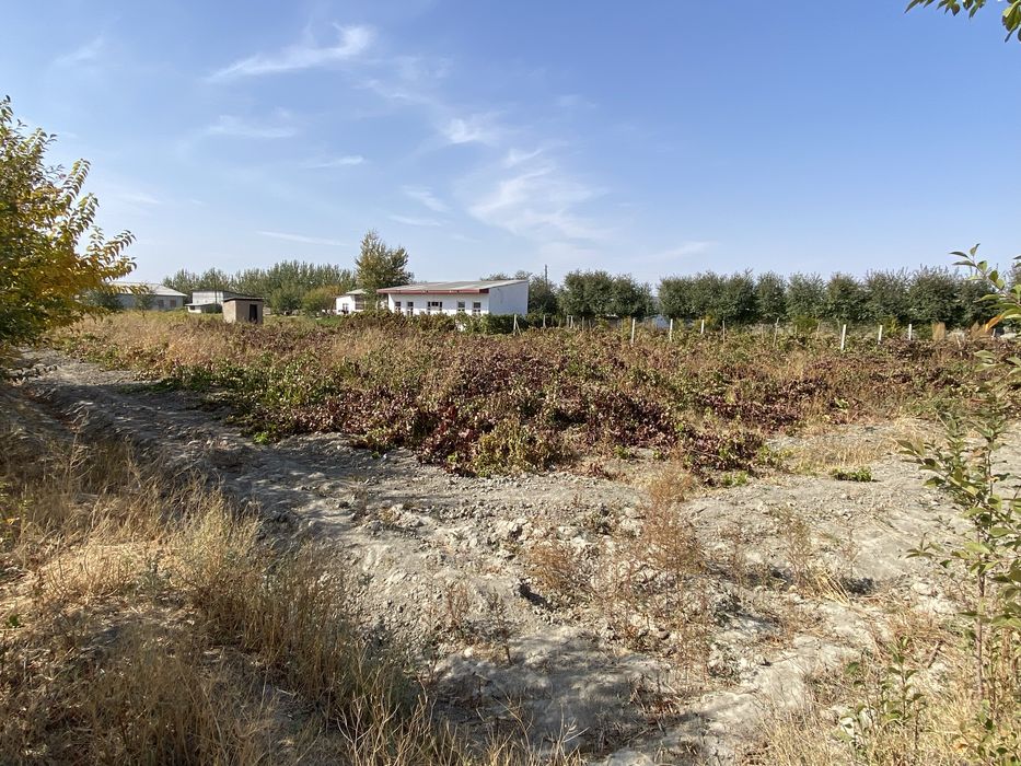 Самаркан вилояти Иштихон тумани Митан шахарчаси Х-Хусан к/к