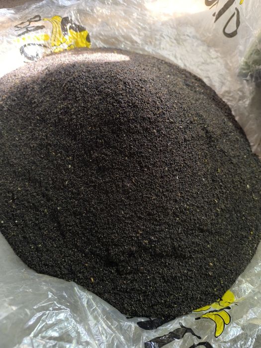 Восковая моль Продам ПЖВМ Огнёвка