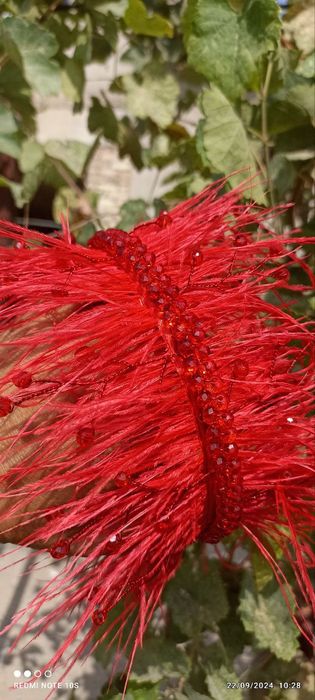 Bujiter abadok patli