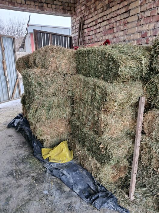 Беда пресс сотилади.