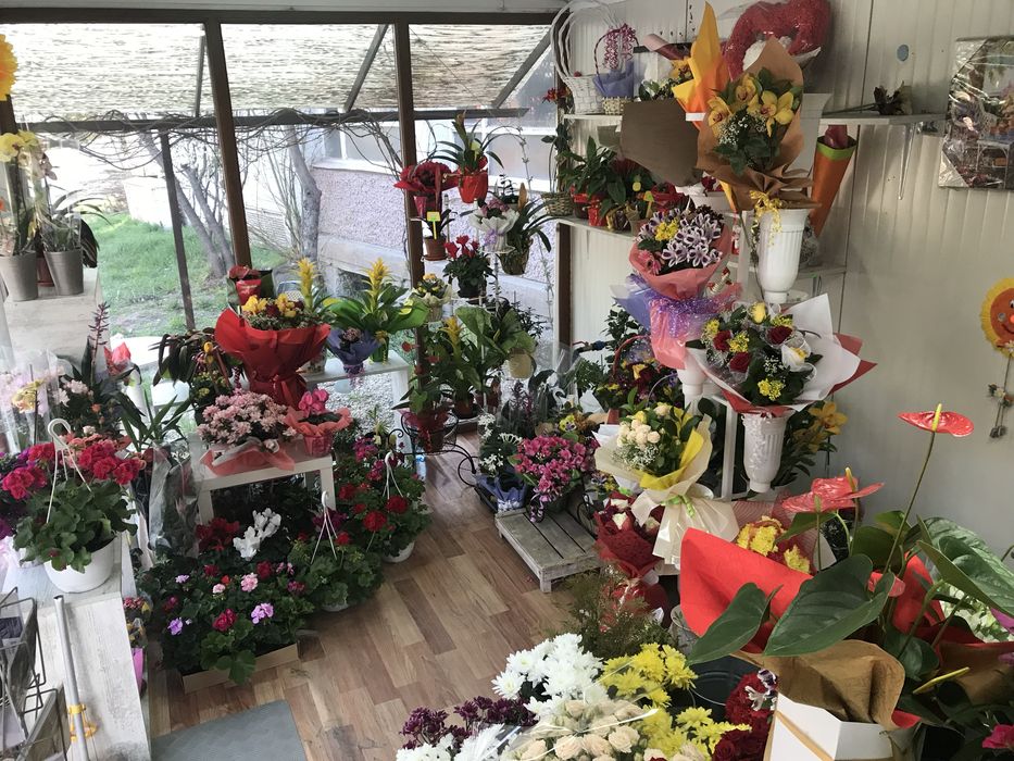 Търговско помещение Цветарски магазин