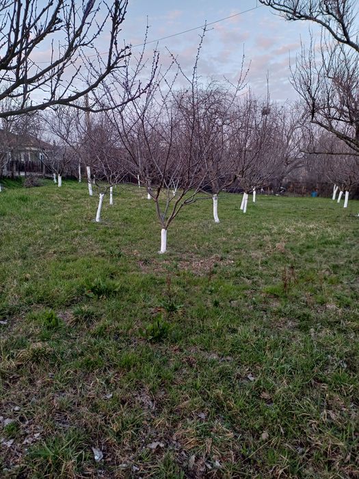 Teren intravilan de vânzare