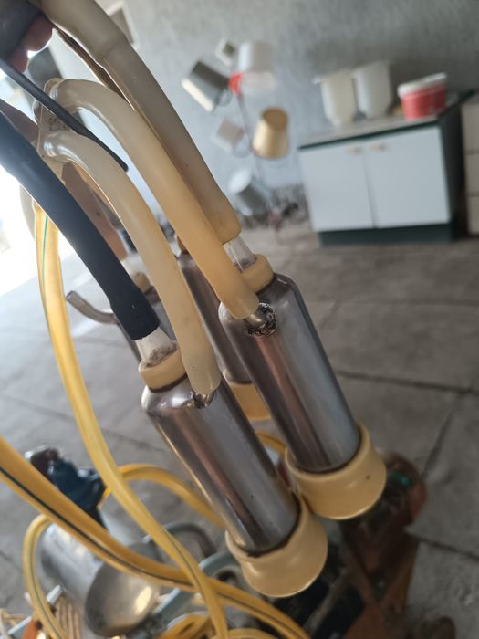 Доильный аппарат  для крс