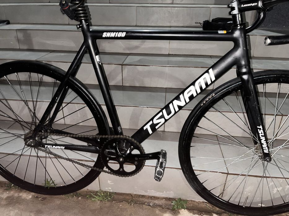 Tsunami snm100
