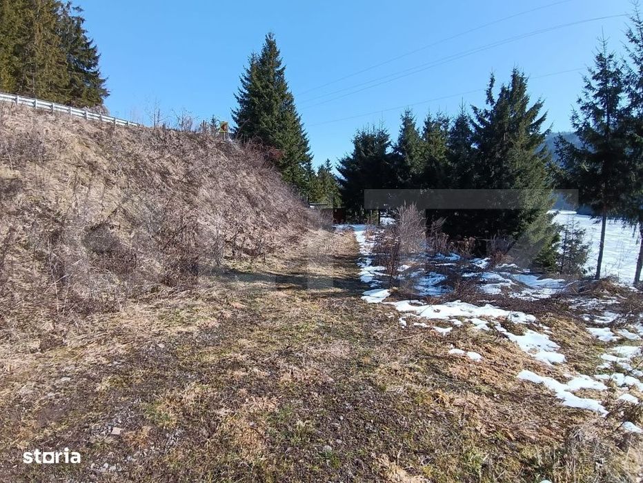 Teren intravilan de vanzare – 3100 mp Colibita, front lac 70