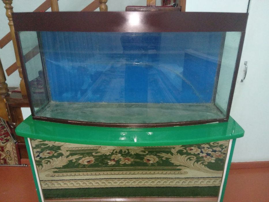 Akvarium stoli bilan sotiladi