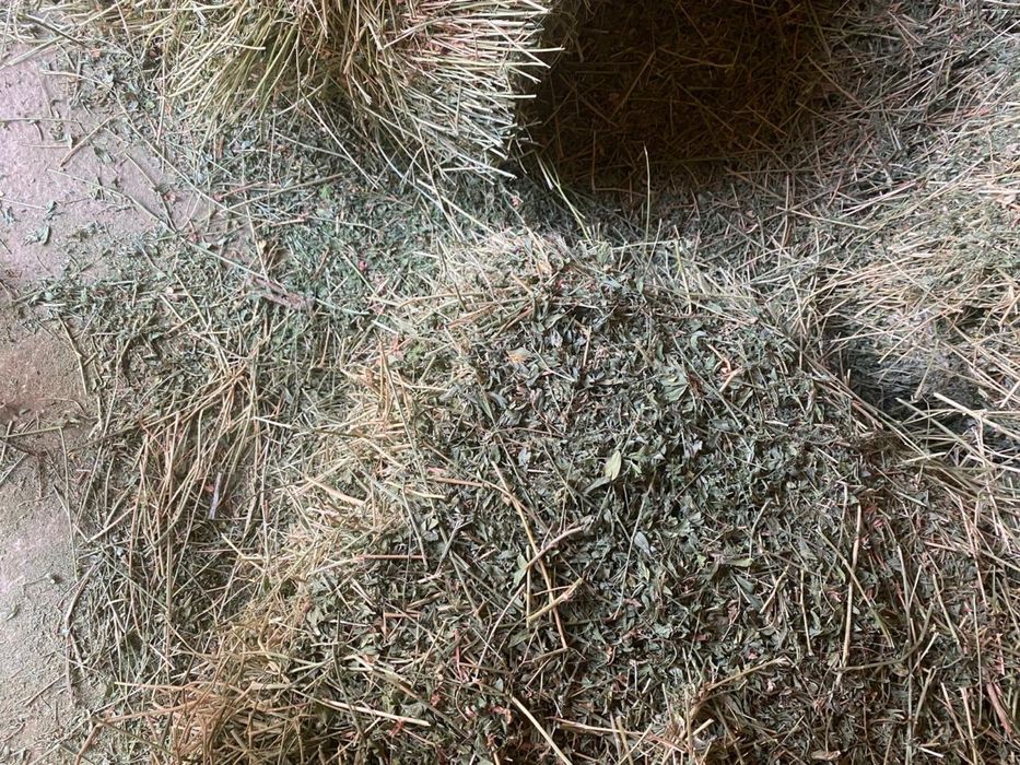 Жонышка сатылады