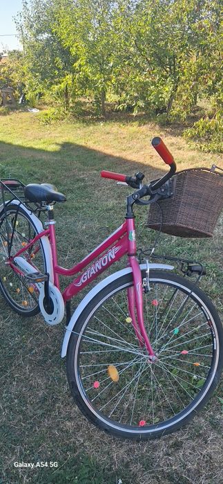 Bicicleta dame Gianon