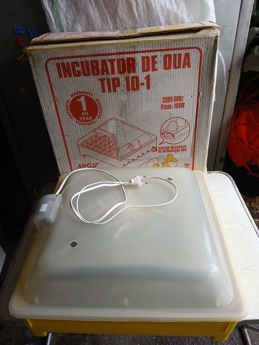 Incubator de oua scos pui.