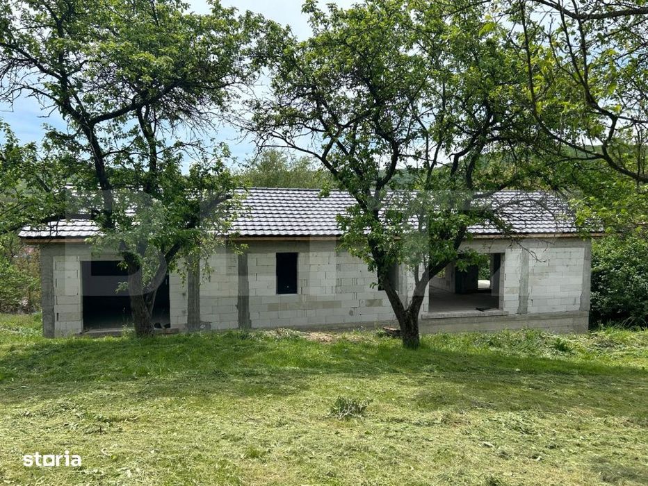 Proprietate exclusivista cu potential urias in Bunesti, judetul Cluj!