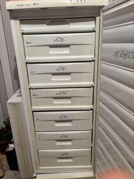 Фризер  Snaige.